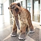 FurCon