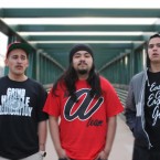 Avidity Apparel