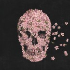 Album Artwork: 'A Beautiful Death' by Terry Fan.