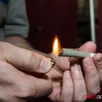 Hempcon San Jose 2013