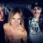 Iggy Pop and The Stooges. Photo by Sophie Howarth.