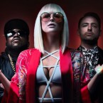 big-grams-treasure-island