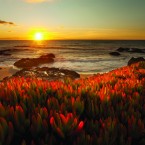 OCEAN VIEW: Gary Griggs has spent his life studying the oceans and shores of this beautiful world.