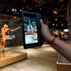 INSIDE OUT: The new 'Body Worlds Decoded' show opens up the human body at The Tech.