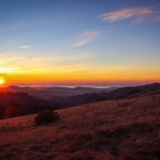 TRAIL MIXER: Peninsula Open Space Trust opens a new trail at the Russian Ridge Open Space Preserve