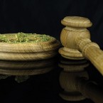 An novel algorithm may end up helping prosecutors expunge records of marijuana convictions in Santa Clara County. Photo by Dougie Jones, via Shutterstock