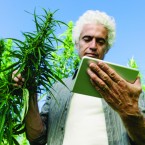 Legalization has inspired a host of Silicon Valley startups to create weed-related mobile apps. Photo by Stock Asso via Shutterstock
