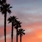 ALMOST FRIDAY?: we can't remember, but we think Thursday is one of the days close to Friday.