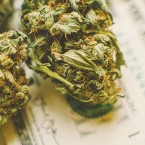 State laws forced dispensaries to empty their shelves by offering steep discounts.