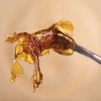 The ‘420 of summer’ is all about dabbing. Photo by Roxana Gonzalez, via Shutterstock