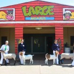 ANIMAL HOUSE: The fair returns this year with events for kids, family, and a first-ever LGBTQ+ inclusive day.