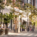 VINO CULTURE: Enjoy some of the best local wines on a solstitial stroll through Santana Row.