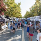 ROCK AND STROLL: Music, art, drinks, and plenty more, the Mountain View Art & Wine Festival has something for everyone.