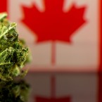 Silicon Valley’s weed business is attracting investors from north of the border. Photo by Dougie Jones, via Shutterstock