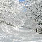 GLOBAL HEARTWARMING: Pulling from a world-wide selection of holiday pieces, 'Winter Gifts: Journeys' celebrates the beauty of faith.