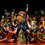 FUR REAL: The legendary Broadway production, Cats, comes to the Center for the Performing Arts.