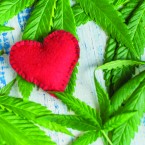 Ditch the roses this Valentine’s Day and go for a flower arrangement of the cannabis variety. Photo by Zapylaiev Kostiantyn, via Shutterstock