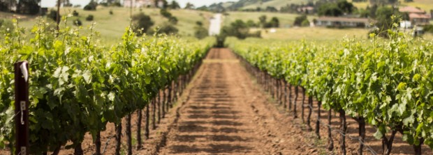 GRAPE ESCAPE: Enjoy the fruits of Santa Clara Valley's labors with the new month-long Wine Passport.