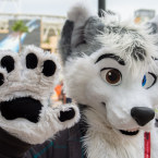 FUR REAL: Furry convention 'Further Confusion' returns to San Jose, er, "Neo San Jose." (photo credit: Daniel Harvey)