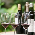 GRAPE EXPECTATIONS: There will be reds, and whites, but no blues allowed at SF Wine School's tasting classes at Enoteca La Storia.