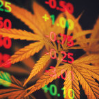 GROWING UP: Cannabis industry jobs grew by 32 percent in 2020, while revenue jumped 71 percent, making insiders and investors more bullish on the future. Photo by Poring Studio via Shutterstock.