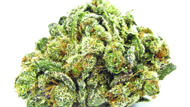 STONE FREE: Cannabis legalization is almost a certainty, but don’t expect everyone to be happy about it.
