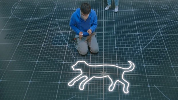 DOG DAYS: Mark Haddon's beloved 'Curious Incident' comes to life in a dazzling production screening at Hammer Theatre.